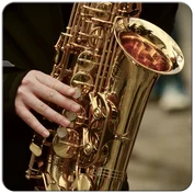 Patch Saxophon 1 für LIMEX Soundplatinen