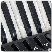 Patch Akkordeon 2 für LIMEX Soundplatinen